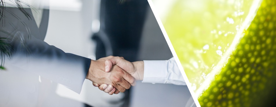 handshake_2.jpg